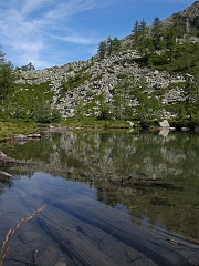 Antichi tronchi adagiati sul fondo...